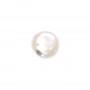 Round cabochon 12mm White Mother-of-Pearl x1