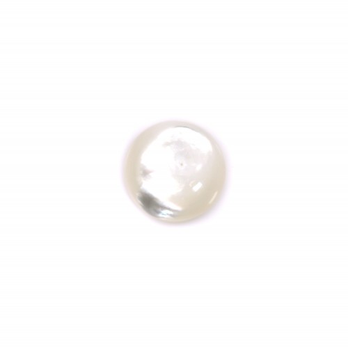 Cabochon rotondo 12 mm Madreperla bianca x 1 pz