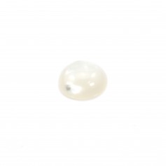 Cabochon round 10 mm White Mother of Pearl x 1pc