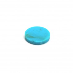 Cabochon Turquoise, round and flat shape, 10mm x 1pc