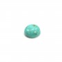 Cabochon Turquoise rond 8mm x1pc