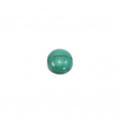 Cabochon Turquoise Oval 8x10mm x 1pc
