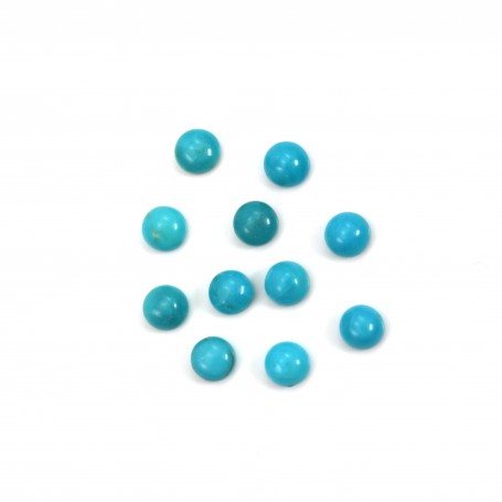 Cabochon Turquoise Round 2.5mm x 2pc
