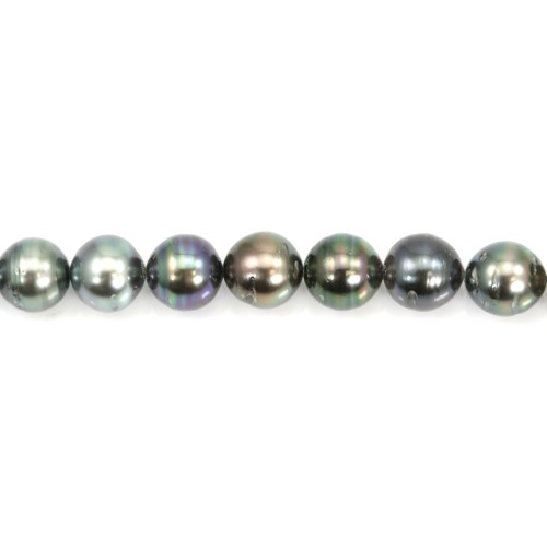 Perles de culture de Tahiti, de forme semi-rondes, composé de perles de 8 à 11 mm x 40cm