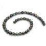 Perles de culture de Tahiti, de forme semi-rondes, composé de perles de 8 à 10 mm x 40cm