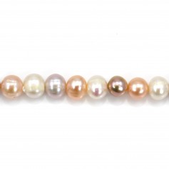 Perles de culture d'eau douce, multicolore, ovale, 7-8mm x 39cm