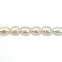Perle coltivate d'acqua dolce, bianche, oliva, 4-4,5 mm x 35 cm