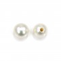 Perlas cultivadas de agua dulce, semiperforadas, blancas, redondas, 3mm x 2pcs