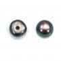 Perle di coltura d'acqua dolce, semiperforate, grigie, a bottone, 5-5,5 mm x 30 pz