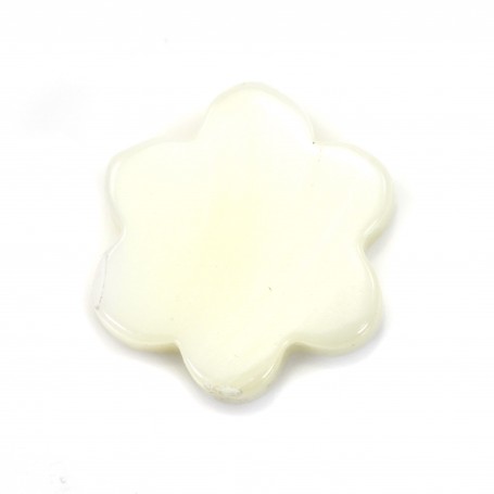 White mother-of-pearl 6-petal flower beads 12mm x 4pcs