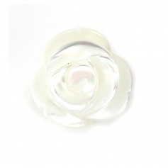 Nacre blanche en forme de rose 10mm x 2pcs