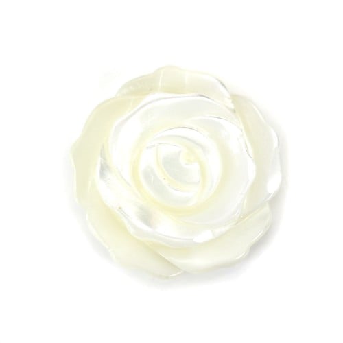 White mother-of-pearl half drilled rose 15mm x 1pc