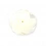 White mother-of-pearl half drilled rose 15mm x 1pc