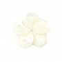 Madreperla bianca a forma di fiore con 5 petali 15 mm x 1 pz
