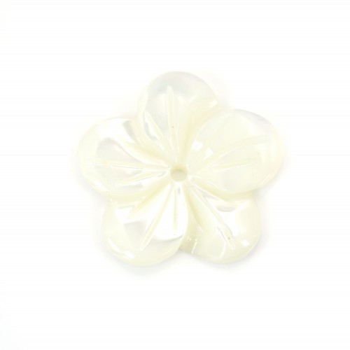 Madreperla bianca a forma di fiore con 5 petali 15 mm x 1 pz