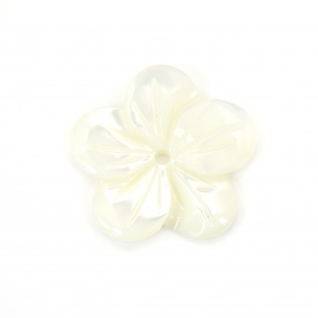 White mother-of-pearl 5 petal flower 15mm x 1pc
