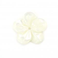 Flor blanca de nácar 5 pétalos 15mm x 1pc