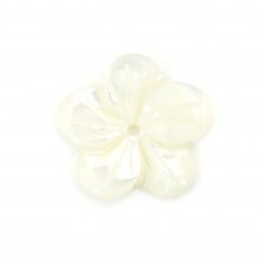 Forma de flor branca mãe de pérola com 5 pétalas 15mm x 1pc