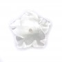 White mother-of-pearl 5 petal flower 12mm x 1pc