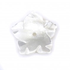 Flor de nácar blanca 5 pétalos 12mm x 1 unidad
