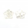 White mother-of-pearl 5 petal flower 10mm x 1pc