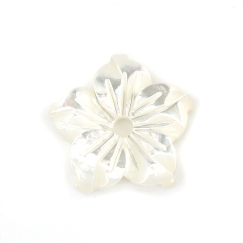 Nacre blanche en fleur de 5 pétales 10mm x 1 pc