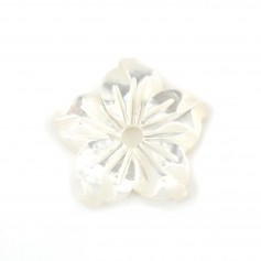 Nacre blanche en fleur de 5 pétales 10mm x 1pc