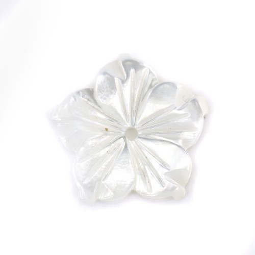 Nacre blanche en fleur de 5 pétales 8mm x 1pc