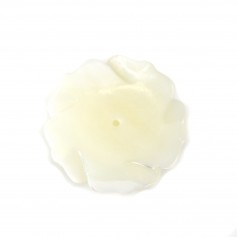Mãe de Pérola Branca em Semi-Pérola Cor-de-Rosa 25mm x 1pc