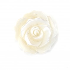 Weißes Perlmutt in Rose halb durchbohrt 20mm x 1St