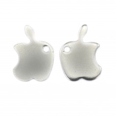 Stainless Steel Apple Charm 304 9*12mm x 2pcs