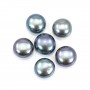 Perle de culture d'eau douce, semi-percée, bleue foncée, bouton, 5-5.5mm x 1pc