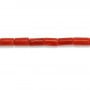 Corail rouge Naturel tube 3x5mm x 50cm