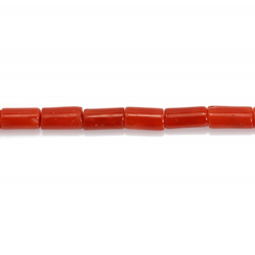 Coral rojo natural tubo 3x5mm x 50cm