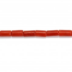Natural red coral tube 3x5mm x 50cm
