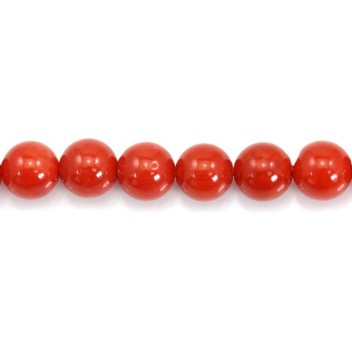 Natural Red Coral Round 3mm x 45cm