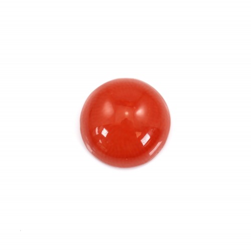 Cabochon Natural Red Coral rund 8mm x 1pc