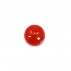 Natural Red Coral Cabochon Round 3-3.5mm x 1pc