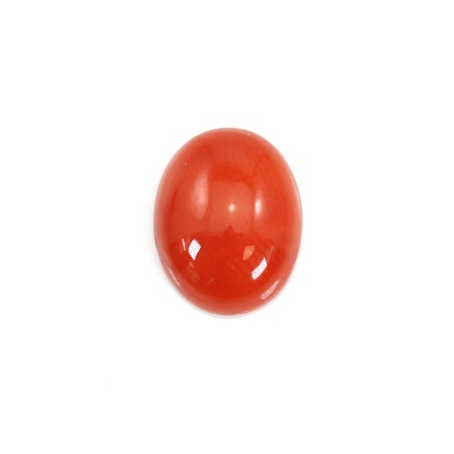 Coral Rojo Natural Cabochon Oval 8x10mm x 1pc
