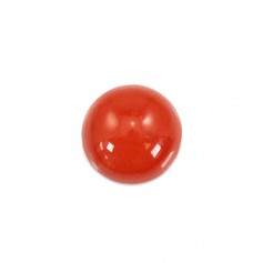 Natural Red Coral Cabochon 6mm x 1pc