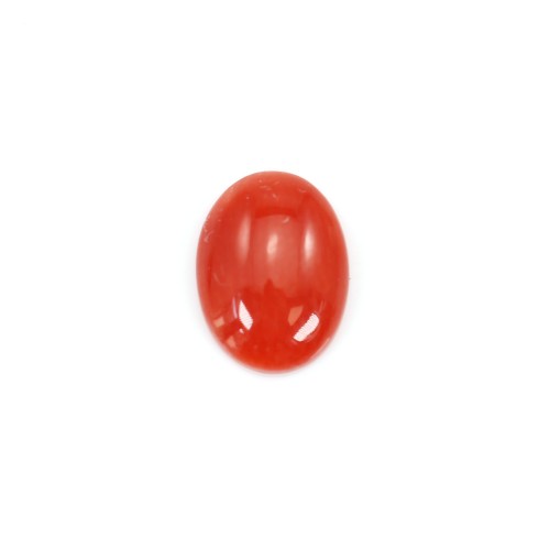 Coral Rojo Natural Cabochon Oval 6x8mm x 1pc