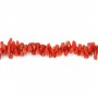 Natural red coral baroque tube x 50cm