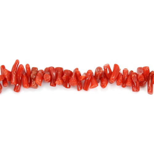 Tubo barroco de coral rojo natural x 50cm