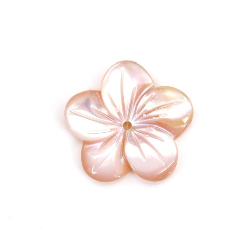 Madre de la perla rosa en forma de flor 5 pétalos 15mm x 1pc