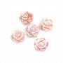 Pink mother-of-pearl half drilled rose 10mm x 1pc