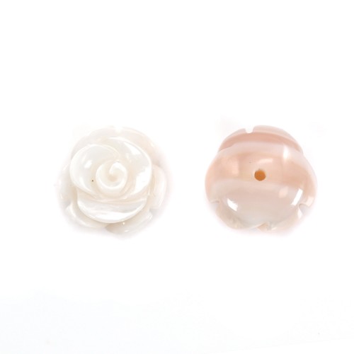Natural rose shell ''Flower''Semi-perforated 12mm X 1pc