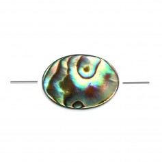 Nacre d'ormeau de forme ovale 13x18mm x 1pc