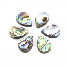 Abalone mother-of-pearl in flat drop 10x14mm x 2pcs