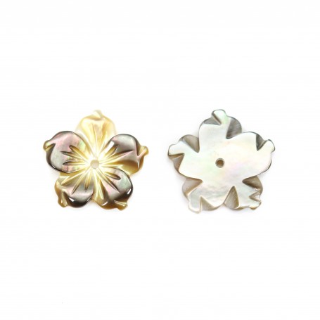 Gray mother-of-pearl 5 petal flower 12mm x 1pc
