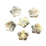 Gray mother-of-pearl 5 petal flower 8mm x 1pc